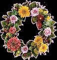 fleurs et nature (10)